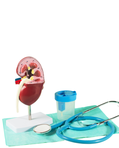 innovative kidney management